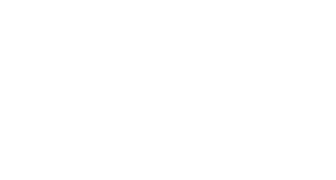 Logo EMS-Fehn-Group weiß